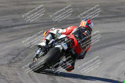 media/Feb-04-2024-SoCal Trackdays (Sun) [[91d6515b1d]]/4-Bowl Backside (11am)/